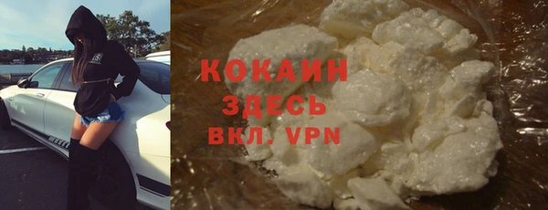 spice Алзамай