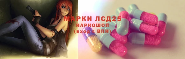 spice Алзамай