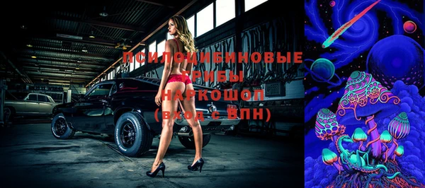 spice Алзамай