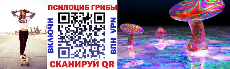 продажа наркотиков  Шацк  Галлюциногенные грибы Psilocybe 